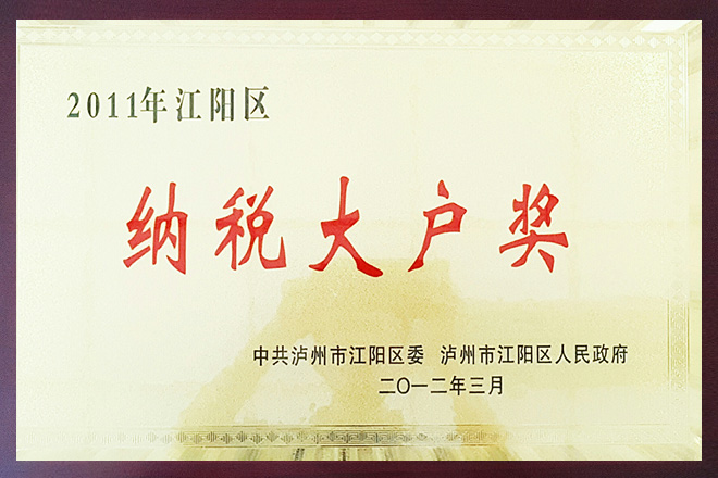 2011年江陽(yáng)區(qū)納稅大戶獎(jiǎng)